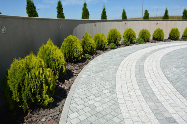 Best Concrete Paver Driveway  in Tusculum, TN
