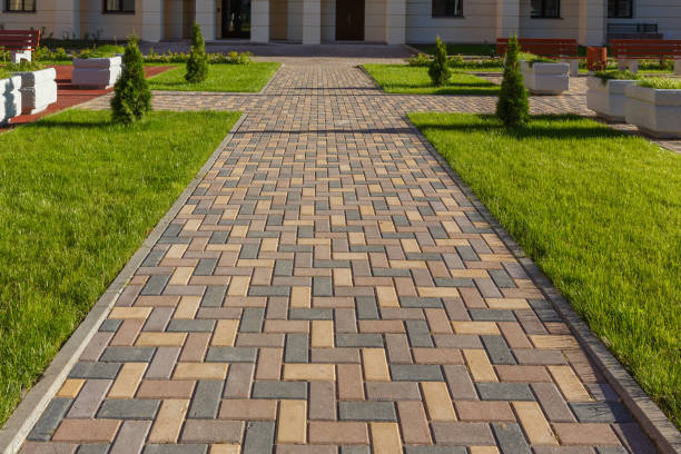 Best Driveway Paving Contractor  in Tusculum, TN